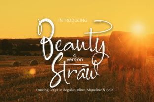 Beauty Straw: A Versatile Script Font for Small Business Branding