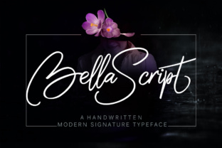 Bella Font Review: A Designer's Take on Script Amp's Latest