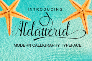 Elevate Your Brand with the Aldatterid Typeface