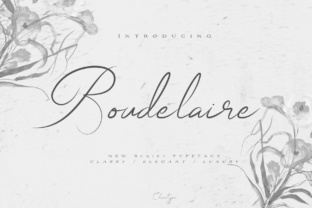 Elevate Your Brand with the Boudelaire Script Typeface