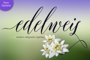 Elevate Your Brand with the Edelweis Calligraphy Typeface