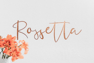 Elevating Web Design with the Rossetta Script Typeface