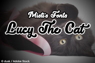 Lucy the Cat Font Review