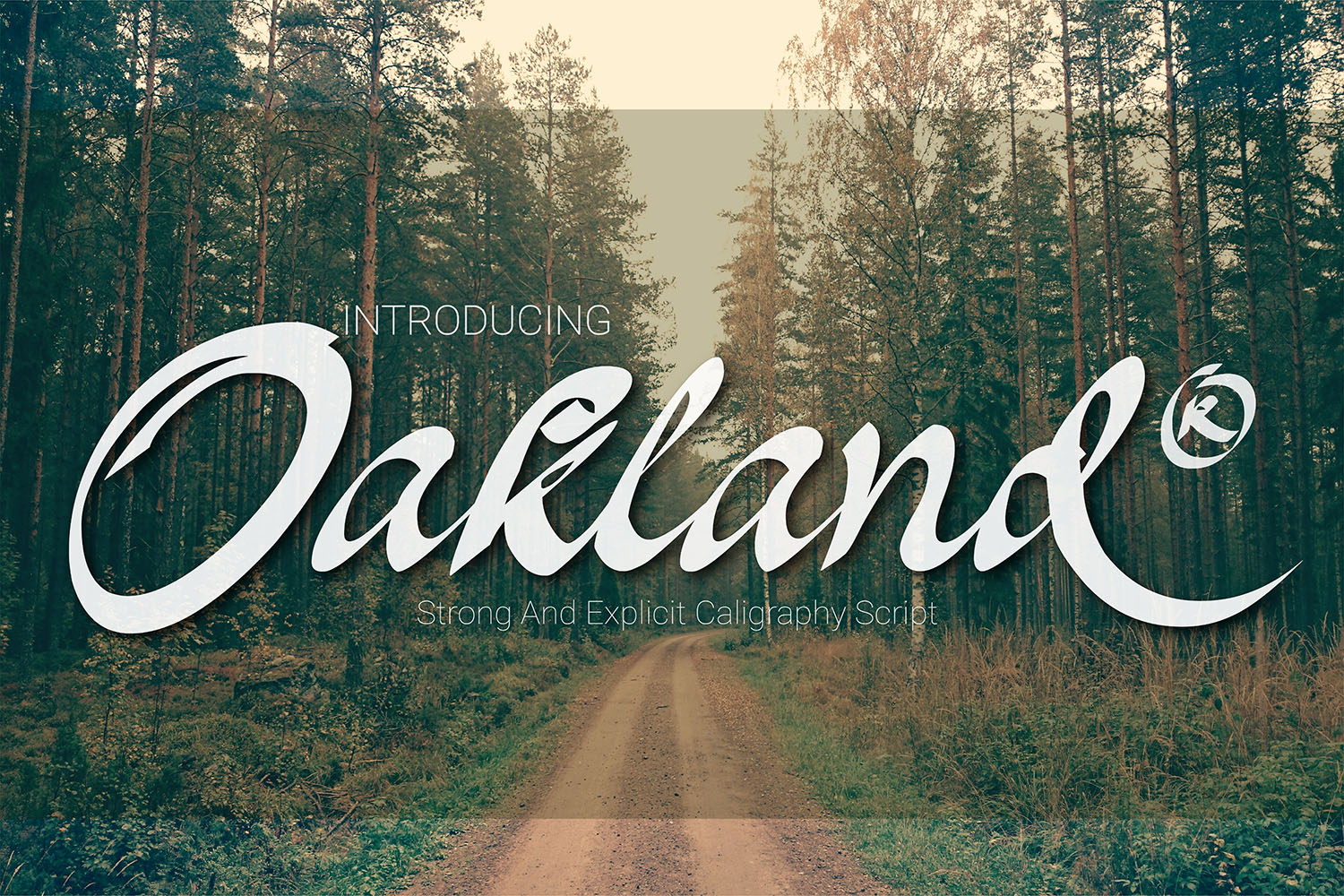 Oakland Font Review: A Modern Script for Bold Campaigns