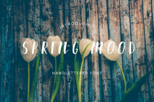 Spring Mood Font: A Clean Display Typeface for Modern Web Design