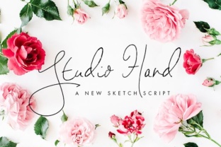 Studio Hand: A Designer's Review for Real Branding